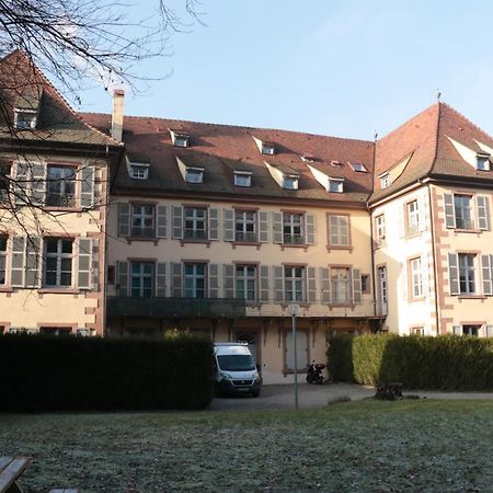 Le Tricotin Gite 2-4 Personnes Sainte-Marie-aux-Mines Zewnętrze zdjęcie